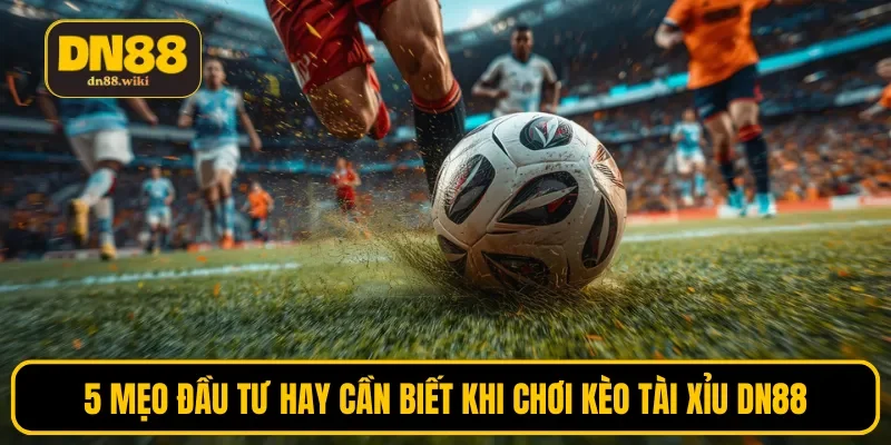 5 mẹo đầu tư hay cần biết khi chơi kèo tài xỉu DN88
