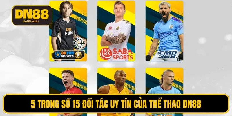 5 trong số 15 đối tác uy tín của thể thao DN88