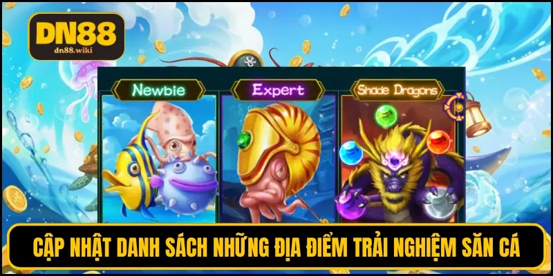 Cập nhật danh sách những địa điểm trải nghiệm săn cá