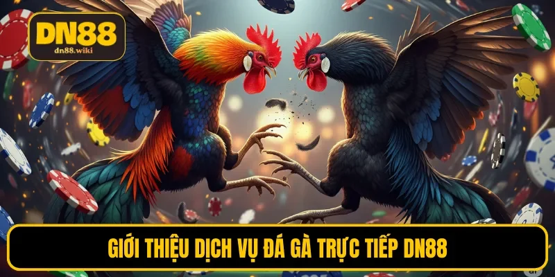 Giới thiệu dịch vụ đá gà trực tiếp DN88