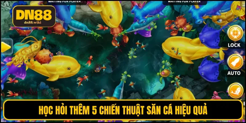 Học hỏi thêm 5 chiến thuật săn cá hiệu quả