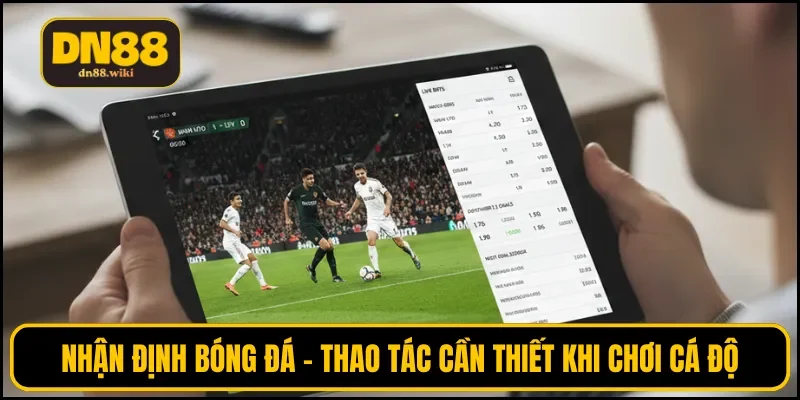 Nhận định bóng đá - Thao tác cần thiết khi chơi cá độ
