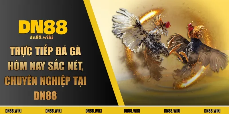 trực tiếp đá gà hôm nay